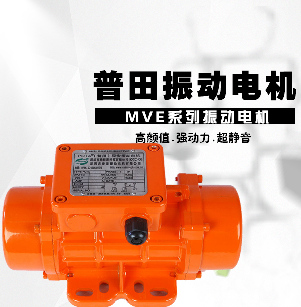 MVE三相異步臥式振動電機(jī)